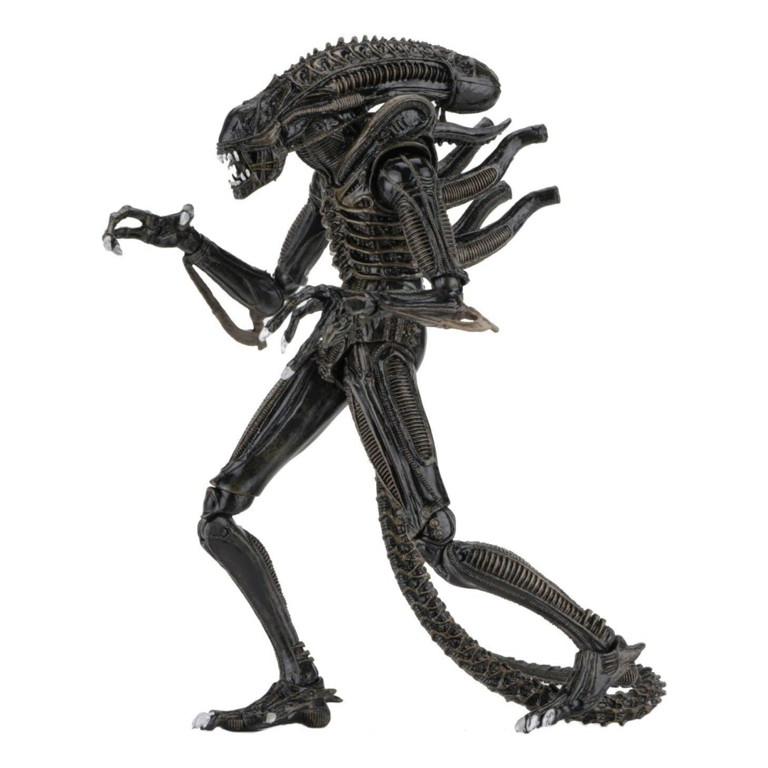 Figura articulada Alien - Ultimate Warrior con accesorios Ultimate edition neca Confetty